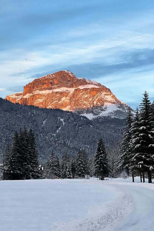 Cesa Pier Sellaronda Dolomiti Lägenhet Campitello di Fassa Exteriör bild