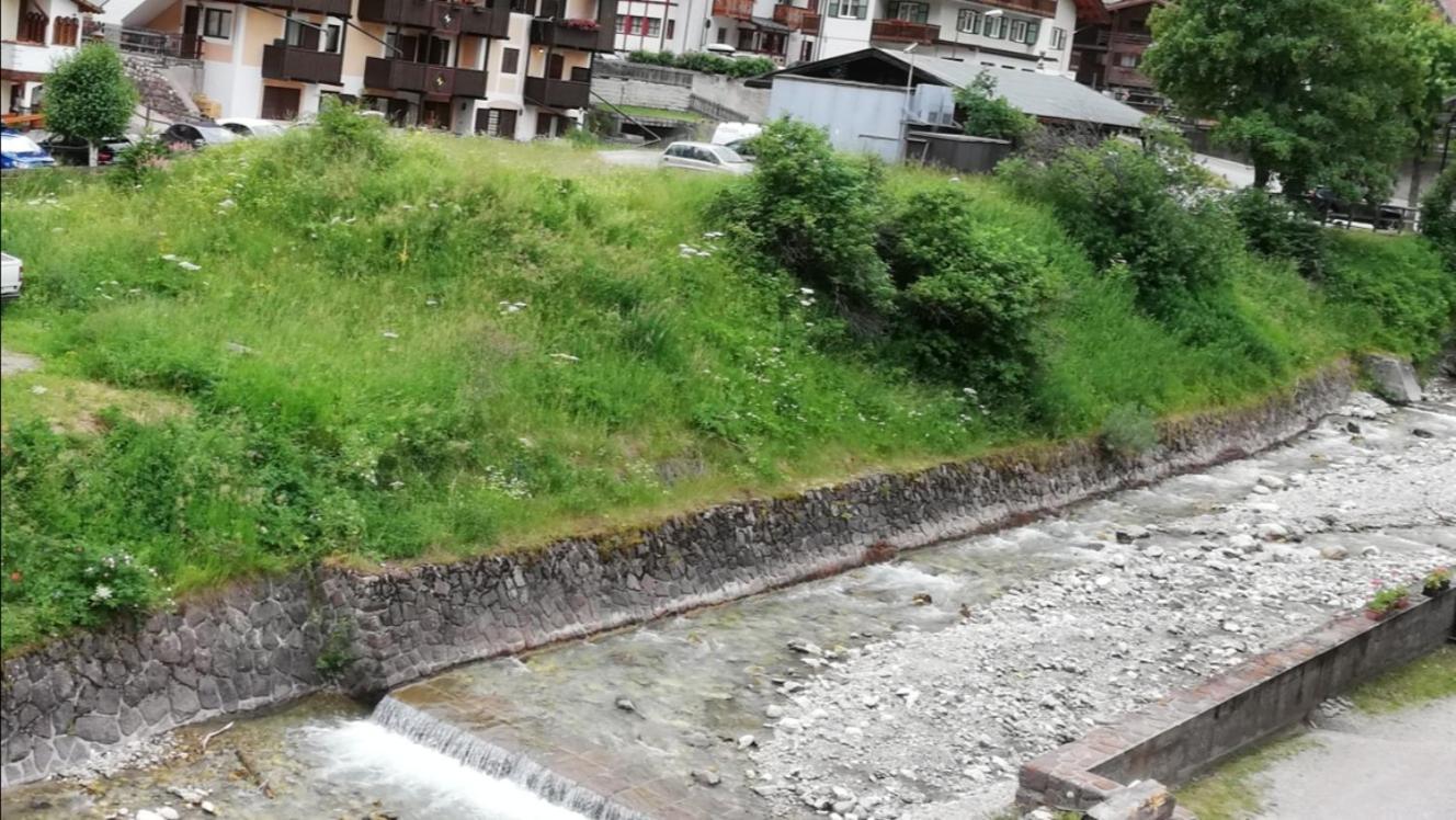 Cesa Pier Sellaronda Dolomiti Lägenhet Campitello di Fassa Exteriör bild
