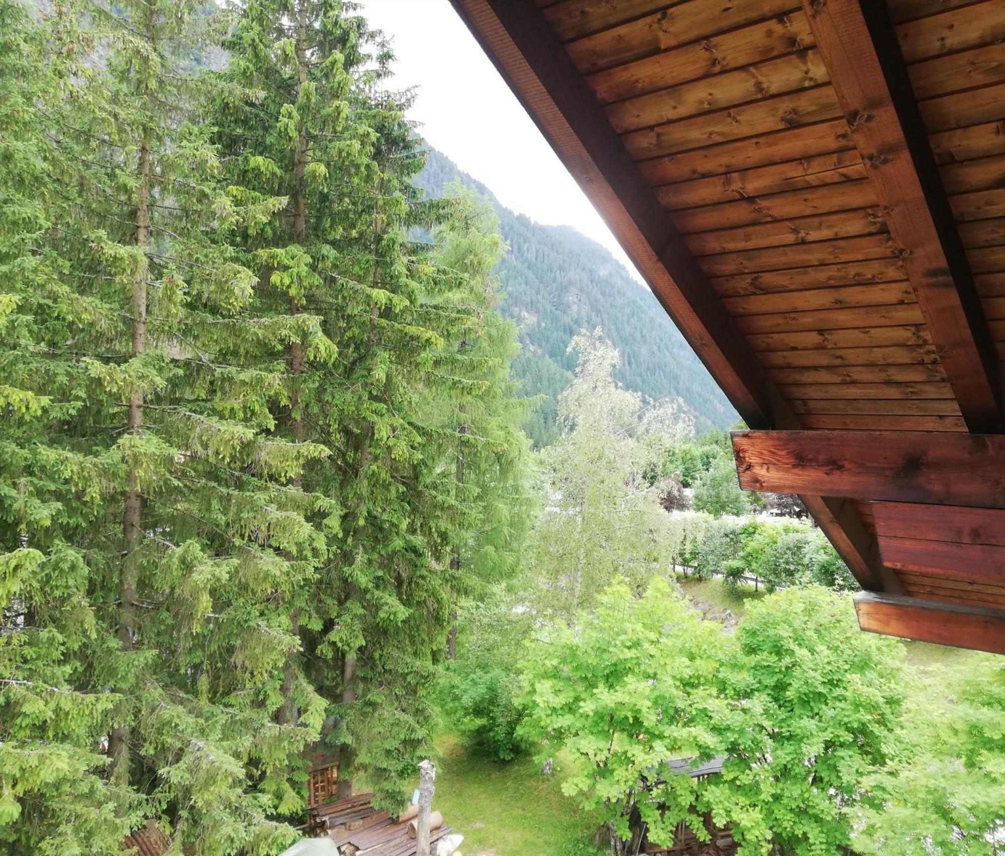 Cesa Pier Sellaronda Dolomiti Lägenhet Campitello di Fassa Exteriör bild